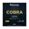 ENCORDOAMENTO GIANNINI VIOLÃO AÇO BRONZE  85/15 009