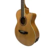 VIOLAO STRINBERG VIENNA VE30C N - Image 3
