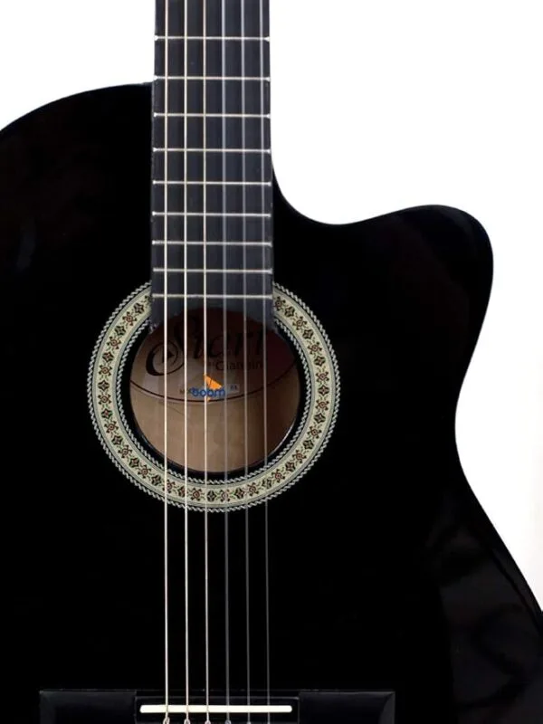 VIOLAO GIANNINI FLAT ELET.NYLON NF-14 CEQ - Image 3