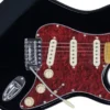 GUITARRA TAGIMA TG-530 WOODSTOCK SERIES - Image 2