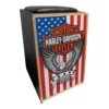 CAJON JAGUAR K2 HARLEY DAVIDSON ELET. - Image 2