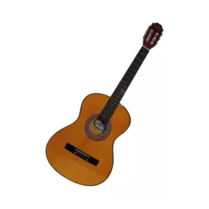 VIOLAO WALDMAN ACUSTICO PP-1 AM